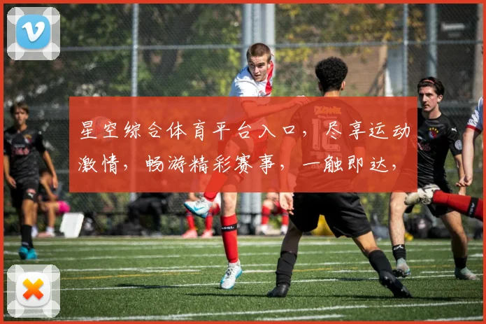 星空综合体育平台入口，尽享运动激情，畅游精彩赛事，一触即达，快来体验