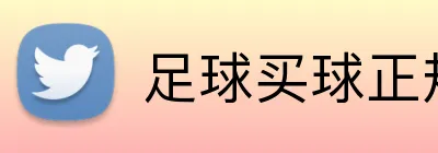 足球买球正规网站 Logo